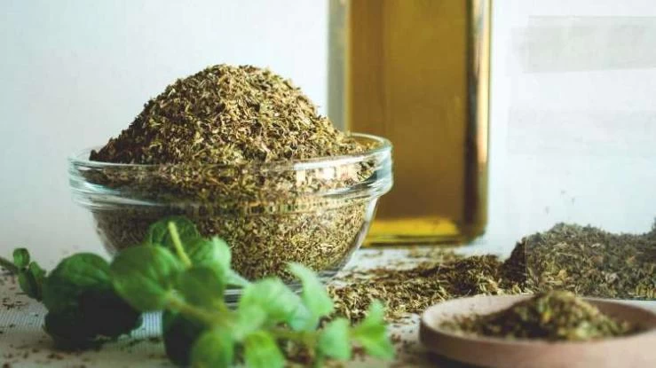 «Θαυματουργή» η ρίγανη για την υγεία μας: Από ποιες ασθένειες προστατεύει